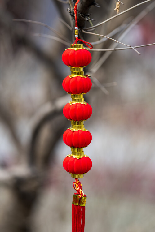 CNY_2025-12.jpg