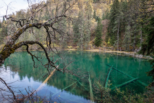 Jiuzhaigou-13.jpg