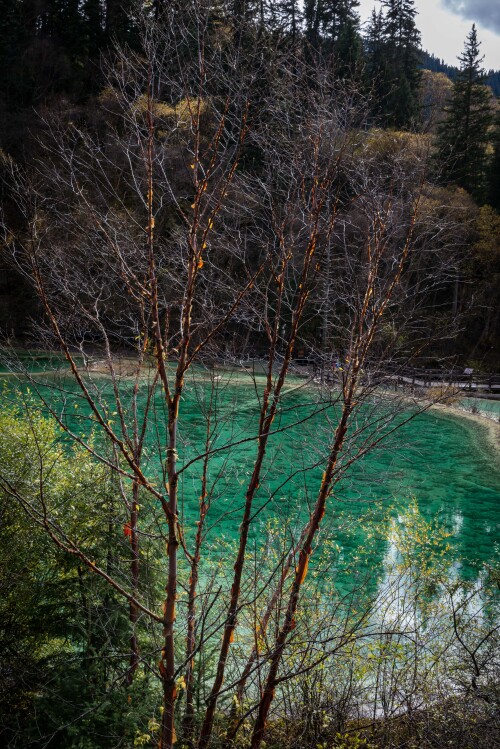 Jiuzhaigou-27.jpg