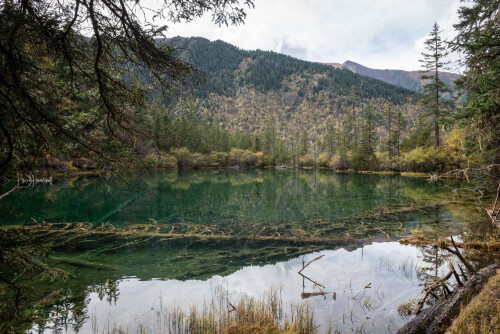 Jiuzhaigou-28.jpg