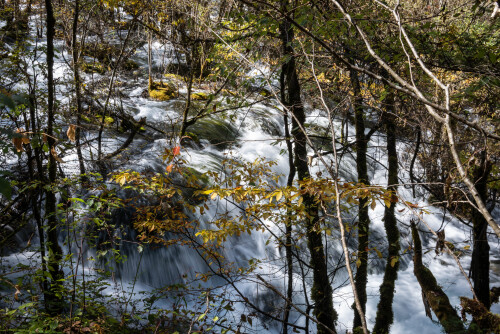 Jiuzhaigou-57.jpg