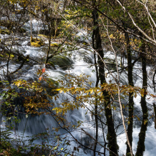 Jiuzhaigou-57