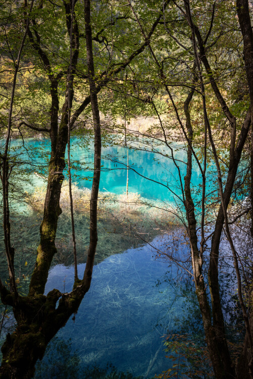 Jiuzhaigou-63.jpg