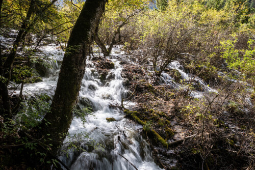 Jiuzhaigou-64.jpg