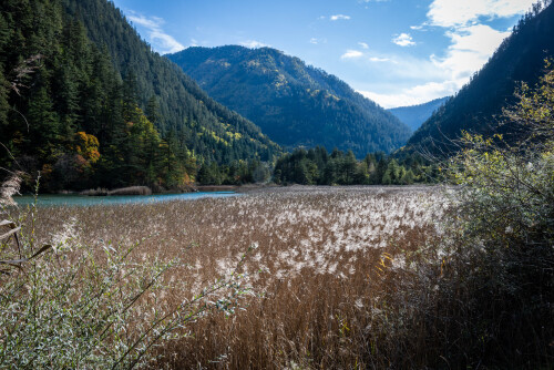 Jiuzhaigou-75.jpg