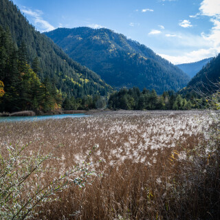 Jiuzhaigou-75