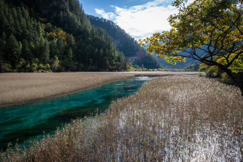 Jiuzhaigou-79.jpg