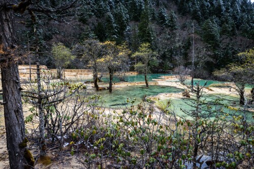 Jiuzhaigou-89.jpg