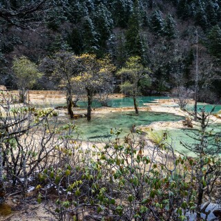 Jiuzhaigou-89