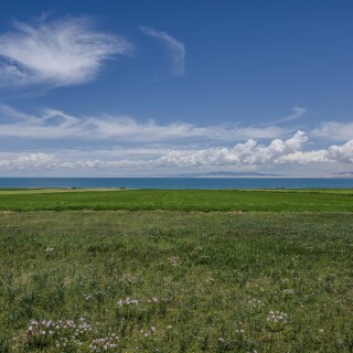 Qinghai_Lake-1