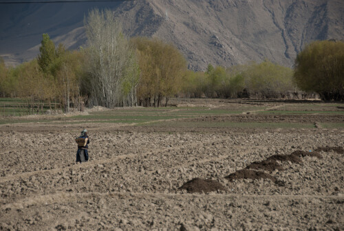 Tibet-159.jpg