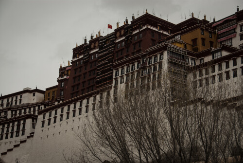 Tibet 21