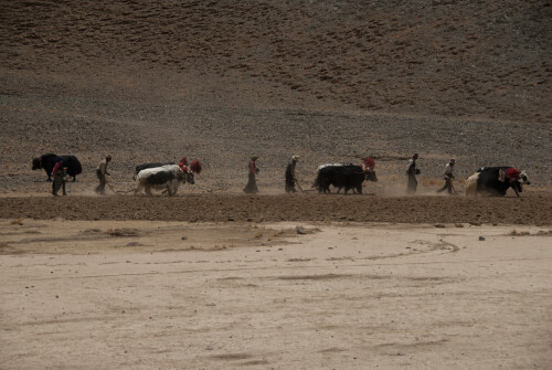 Tibet-237.jpg