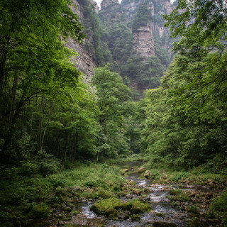 Zhangjiajie-21