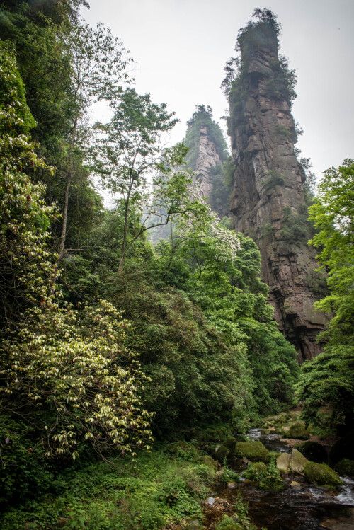 Zhangjiajie-23.jpg