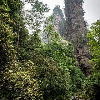Zhangjiajie-23
