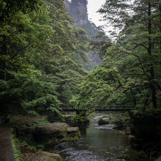 Zhangjiajie-24