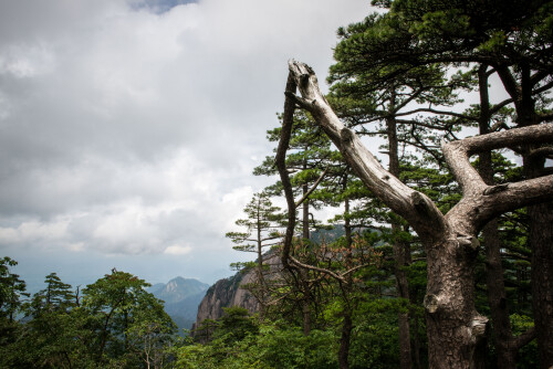 Huangshan-3.jpg